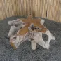 morepic-4